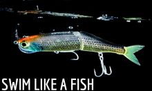 SWIMBAITS