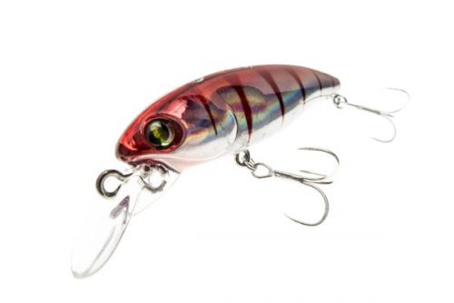 Getchu 66SR, small hunter for large surprises
