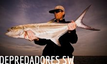 DEPREDADORES MAR