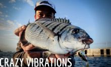 VIBRATION LURES