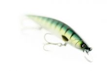 Jugulo Jerk 180LC by Molix ⭐ AGOTADO!