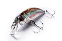 Spearhead Ryuki 45S by Duo, small and very stable mini jerkbait, test it in heavy currents and it will deliver