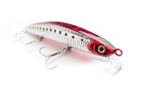 Shore Line Shiner SL145 Daiwa most successful sea bass long distance jerkbait