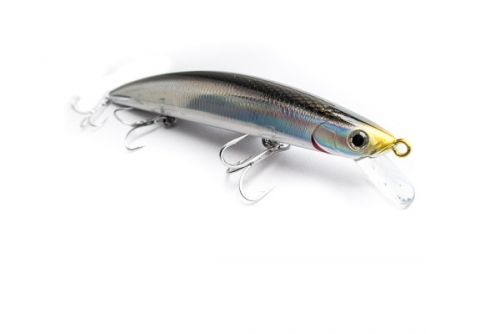 Shore Line Shiner SL17 floating and sinking, fine Daiwa jewelery for sea bass hunters